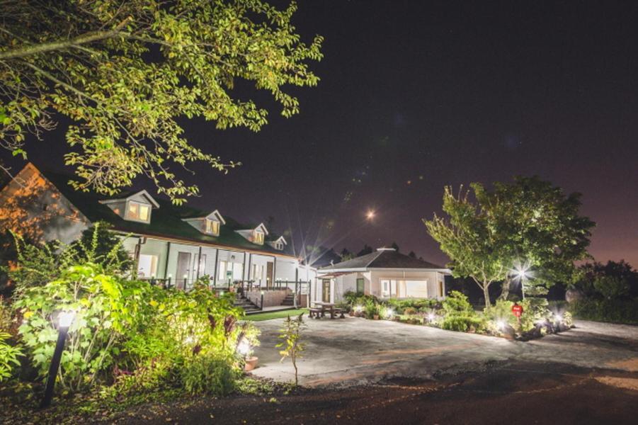 Sunyang Village Pension Чеджудо Экстерьер фото