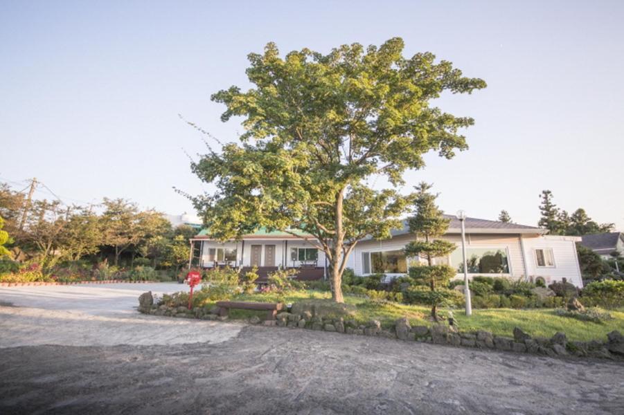 Sunyang Village Pension Чеджудо Экстерьер фото