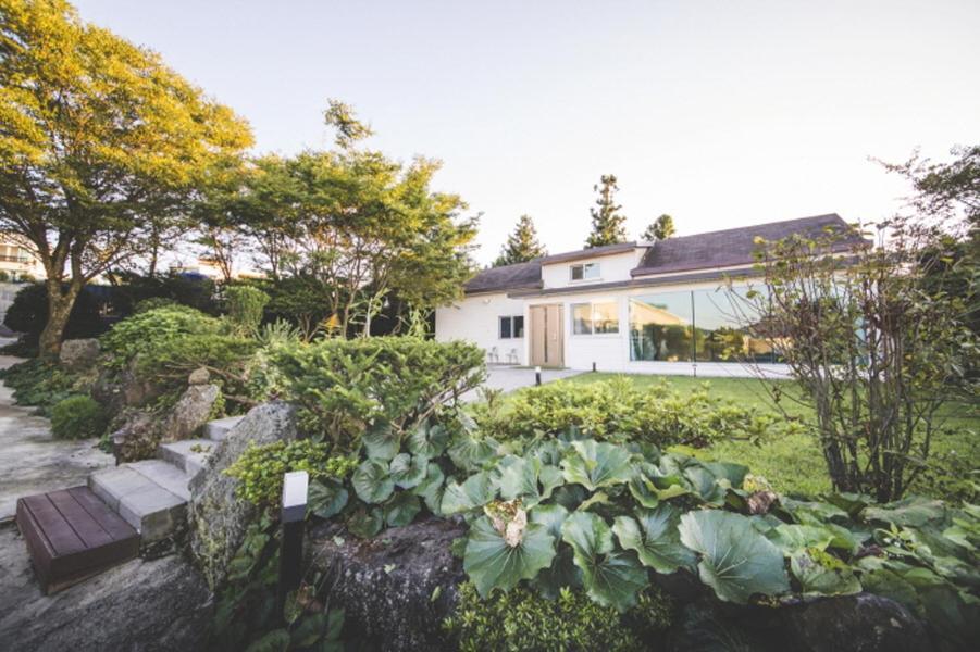 Sunyang Village Pension Чеджудо Экстерьер фото